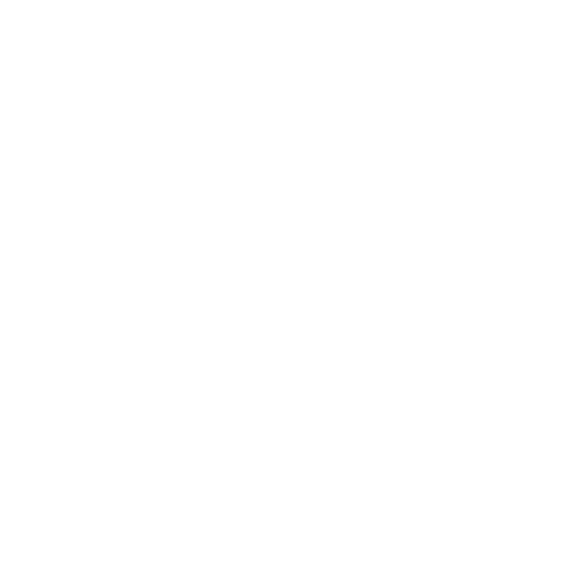 Newport Festivals Foundation